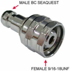 large AD 25 MALE BC SEAQUEST